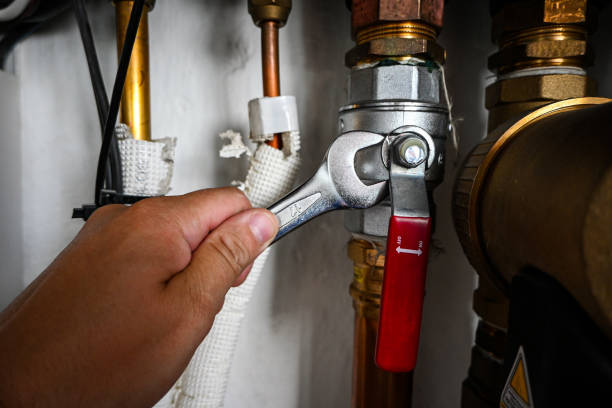 Best Drain Cleaning Services  in Lake Los Angeles, CA
